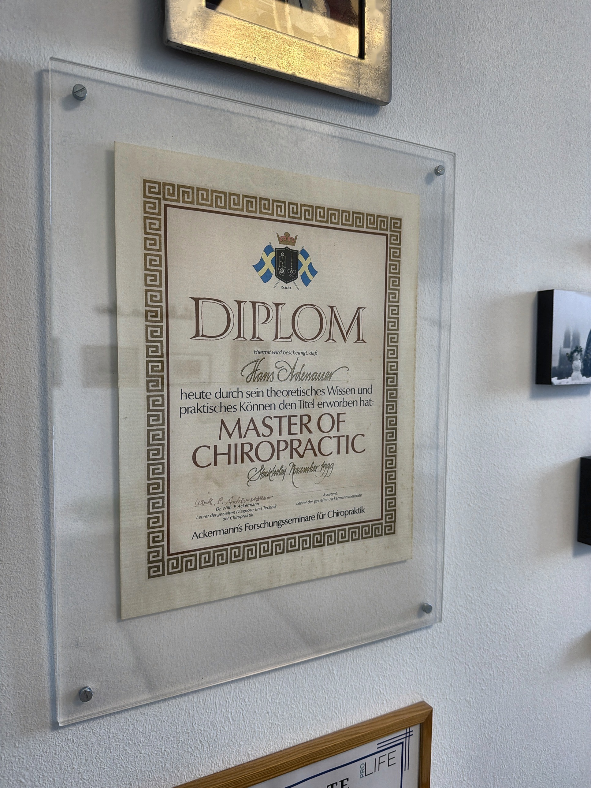 Diplom Master of Chiropractic